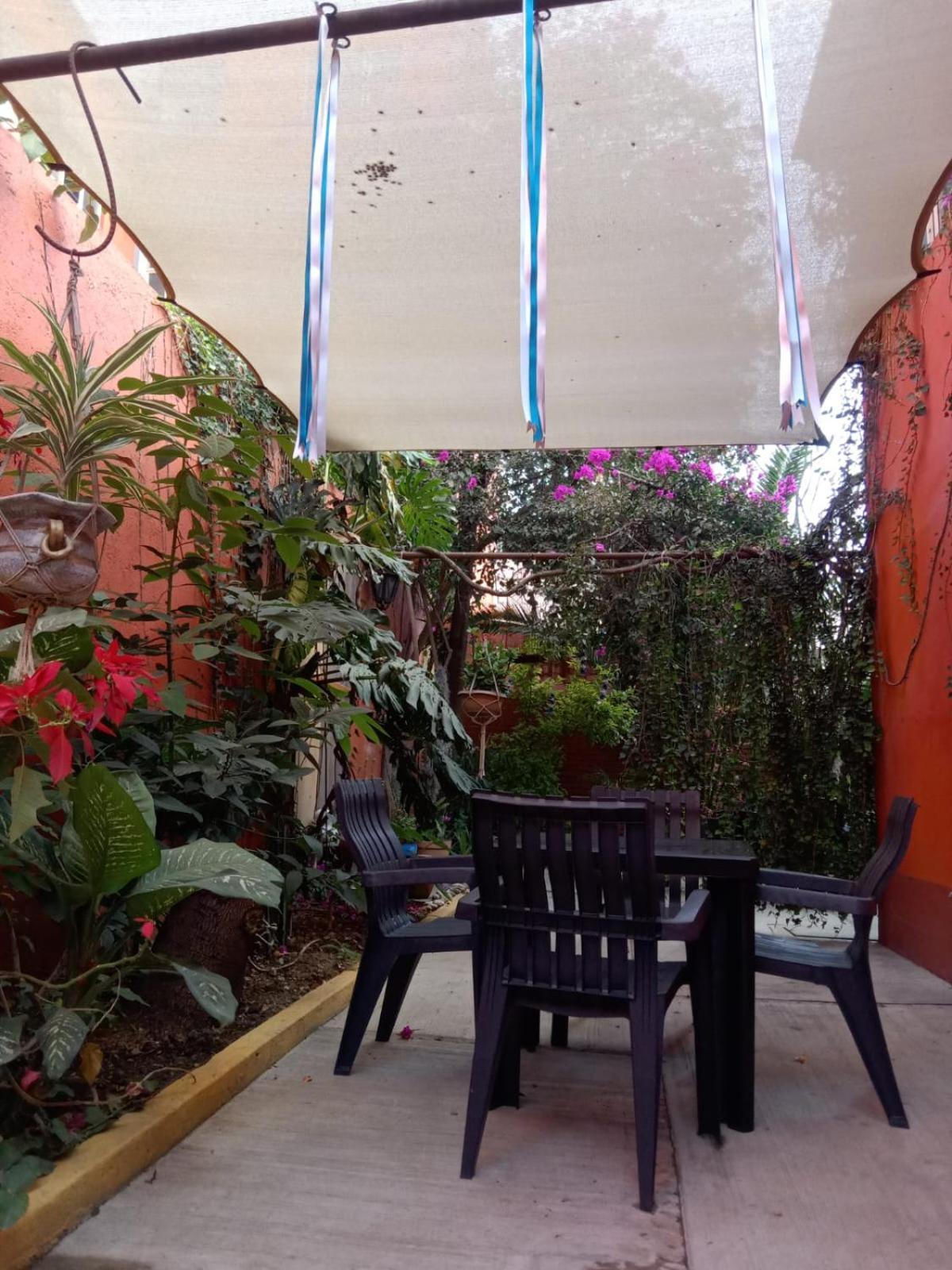 Casa Guanab Guest House Oaxaca Bagian luar foto