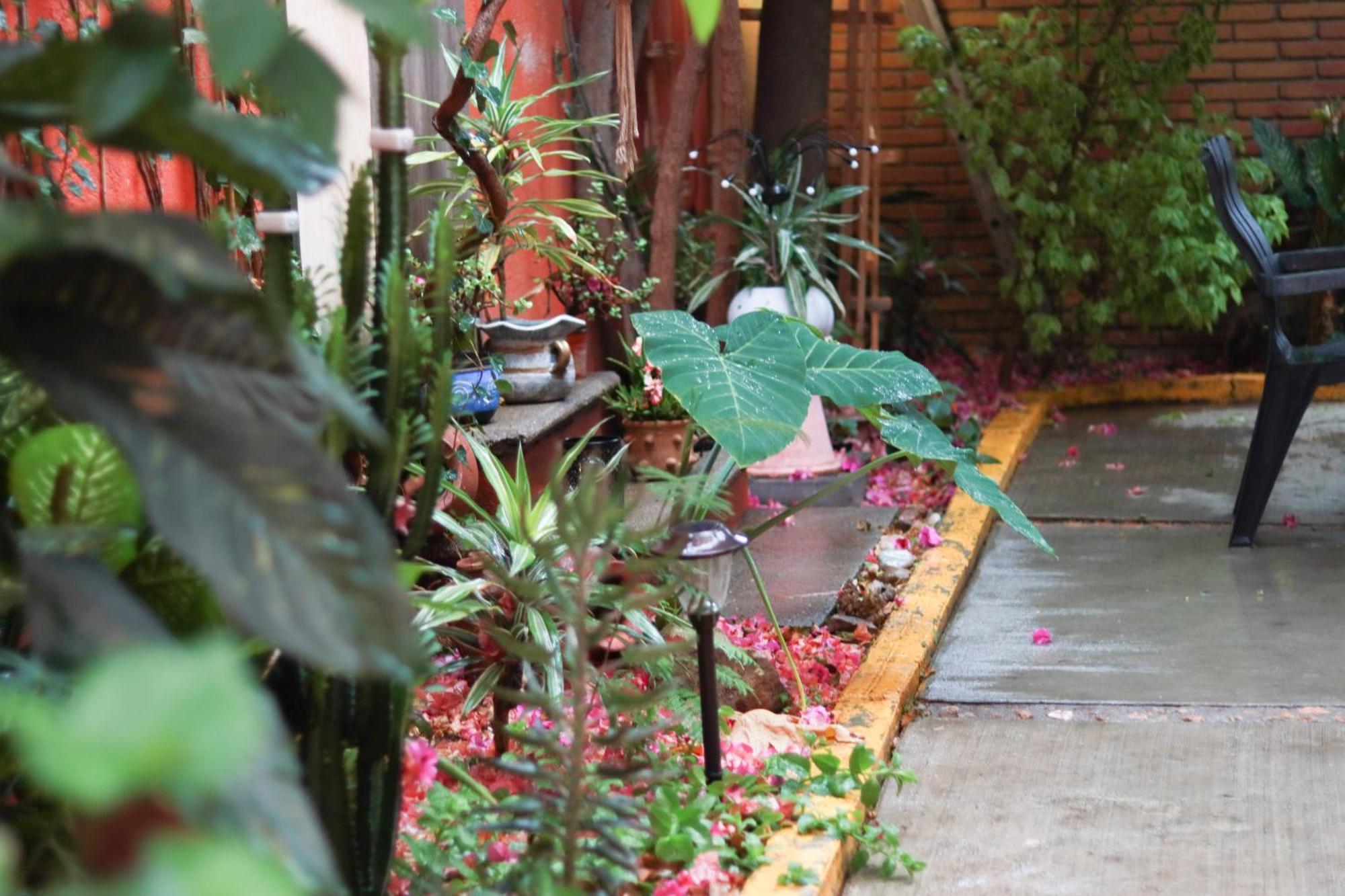 Casa Guanab Guest House Oaxaca Bagian luar foto
