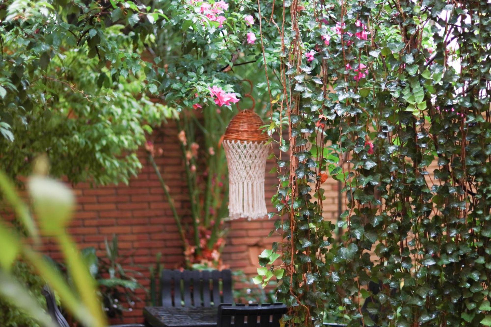Casa Guanab Guest House Oaxaca Bagian luar foto