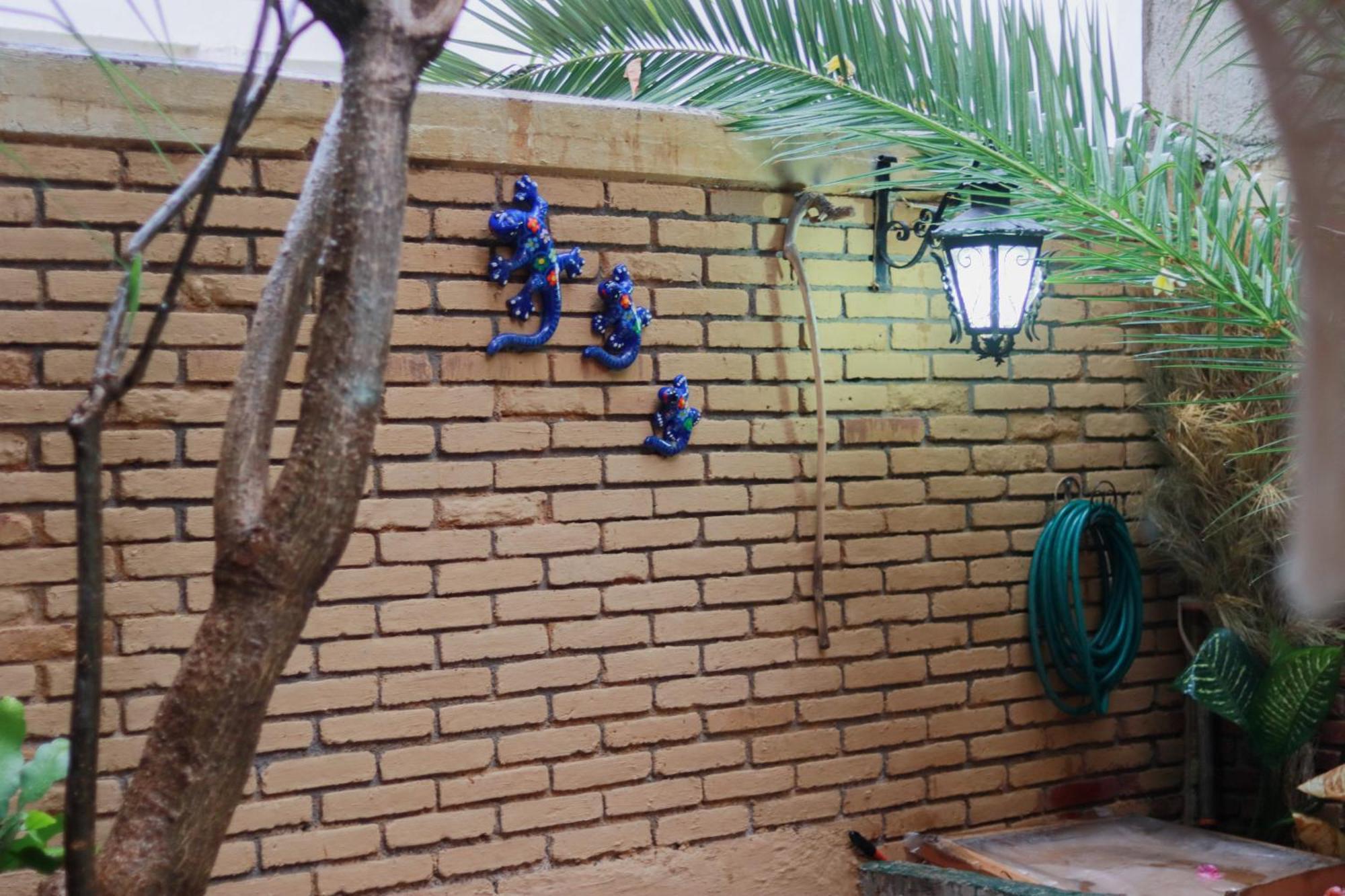 Casa Guanab Guest House Oaxaca Bagian luar foto