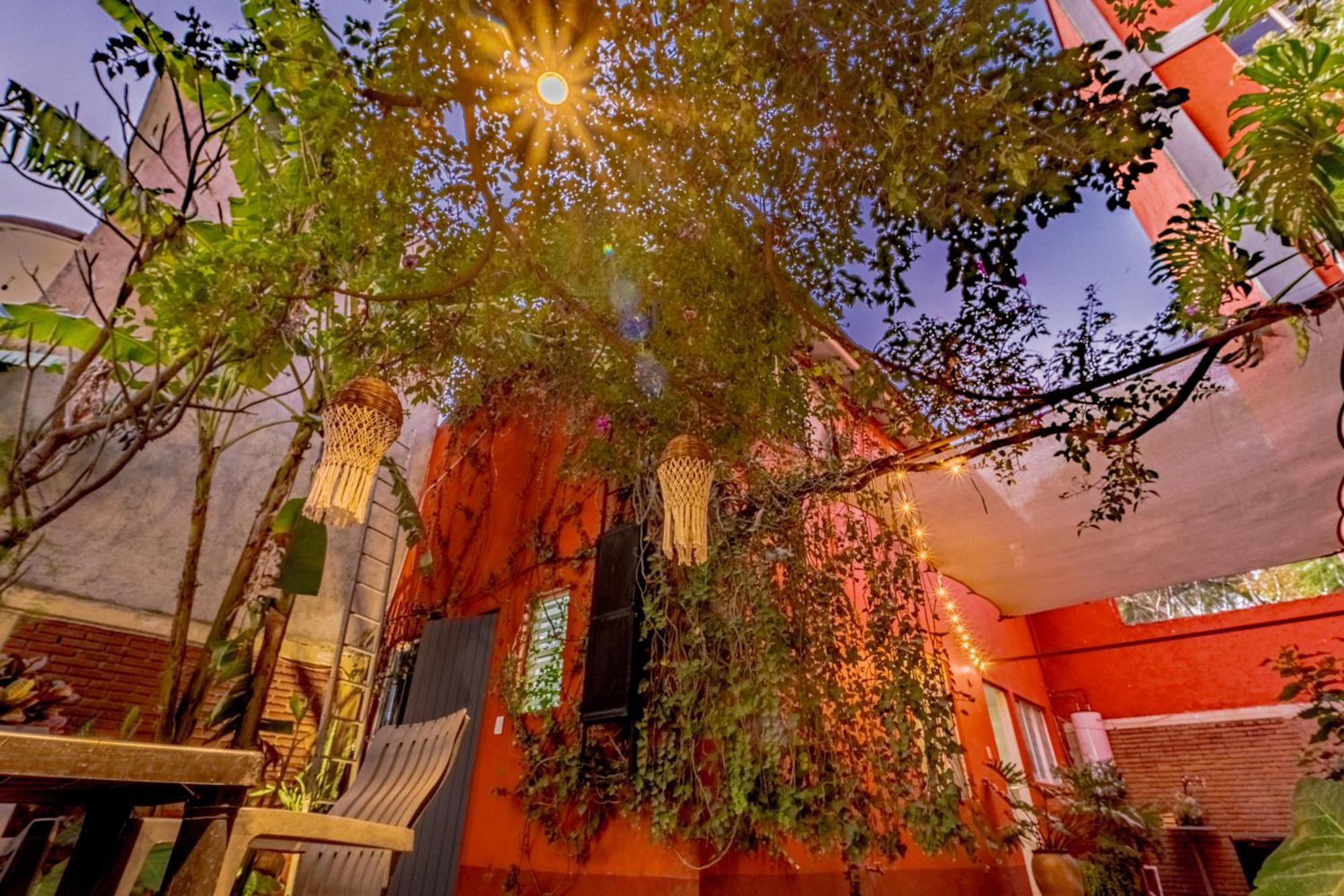 Casa Guanab Guest House Oaxaca Bagian luar foto