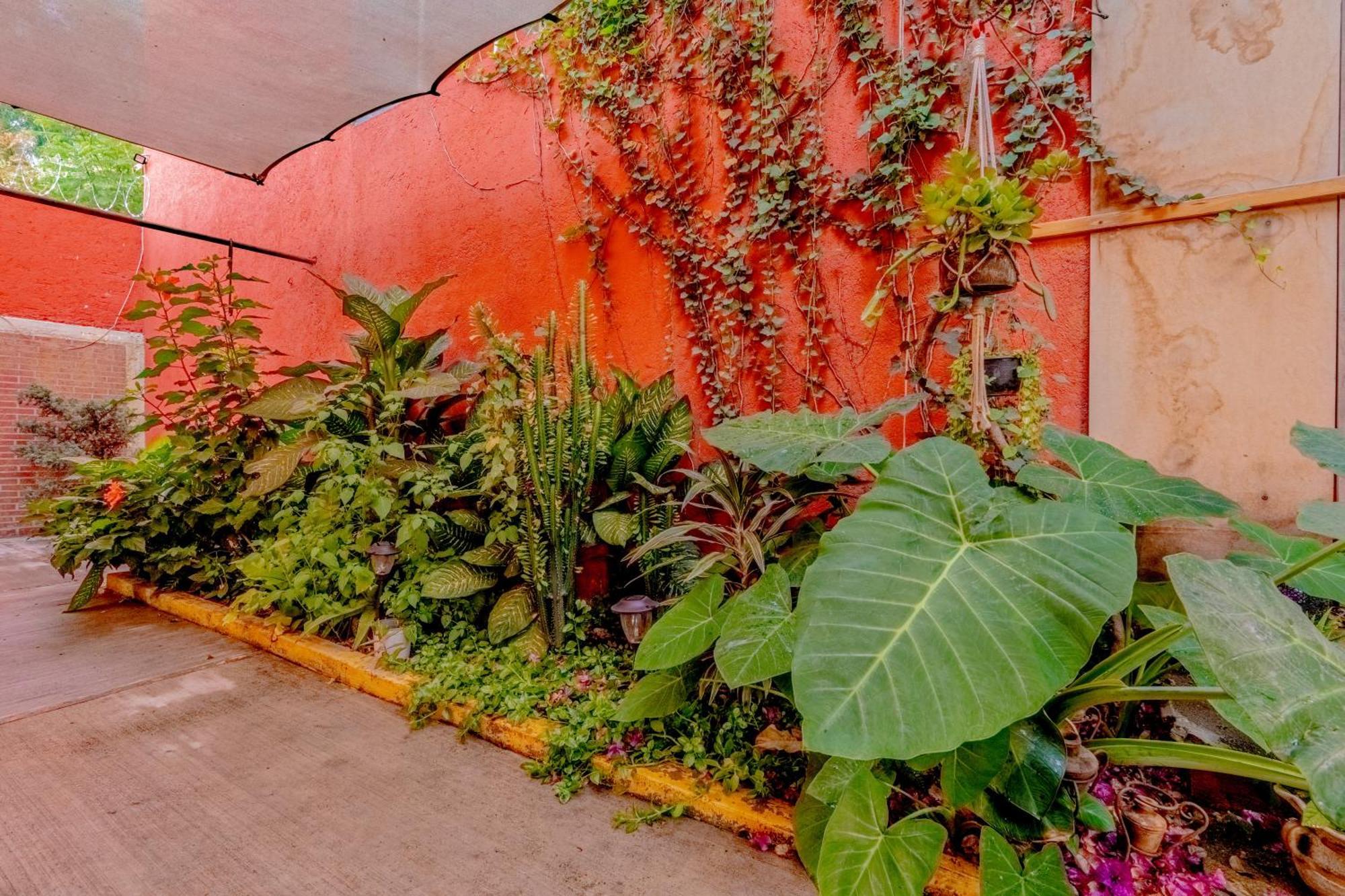 Casa Guanab Guest House Oaxaca Bagian luar foto