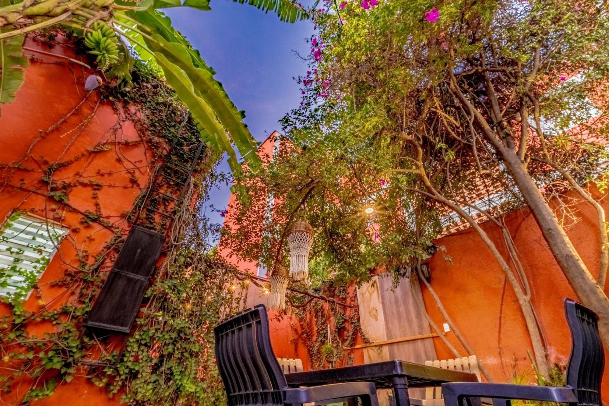 Casa Guanab Guest House Oaxaca Bagian luar foto